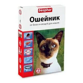 Лучший ошейник от клещей для кошек