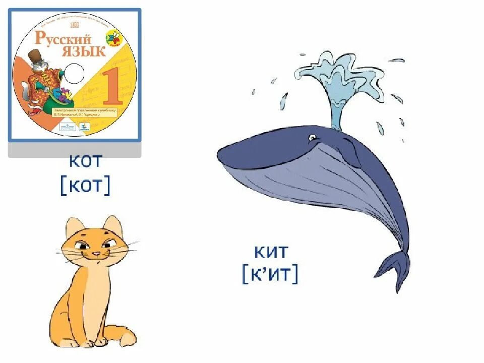 Кит и кот. Кит звуковая схема. Звуковая схема кот и кит. Схемы слов кит и кот. Звуки в слове кит