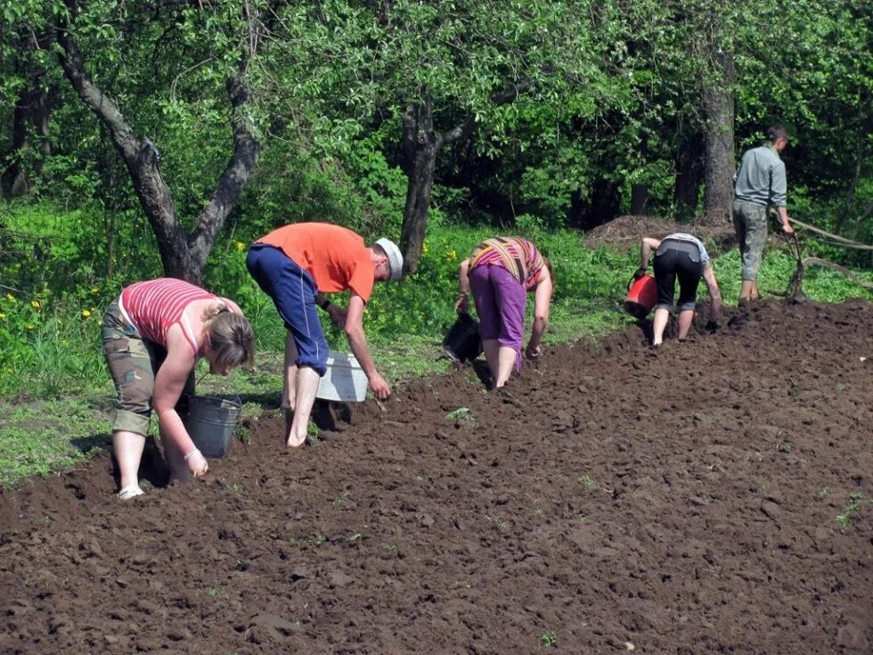 Весенние работы человека. Работа в огороде. Труд в огороде. Труд на даче. Весенний труд на огороде.