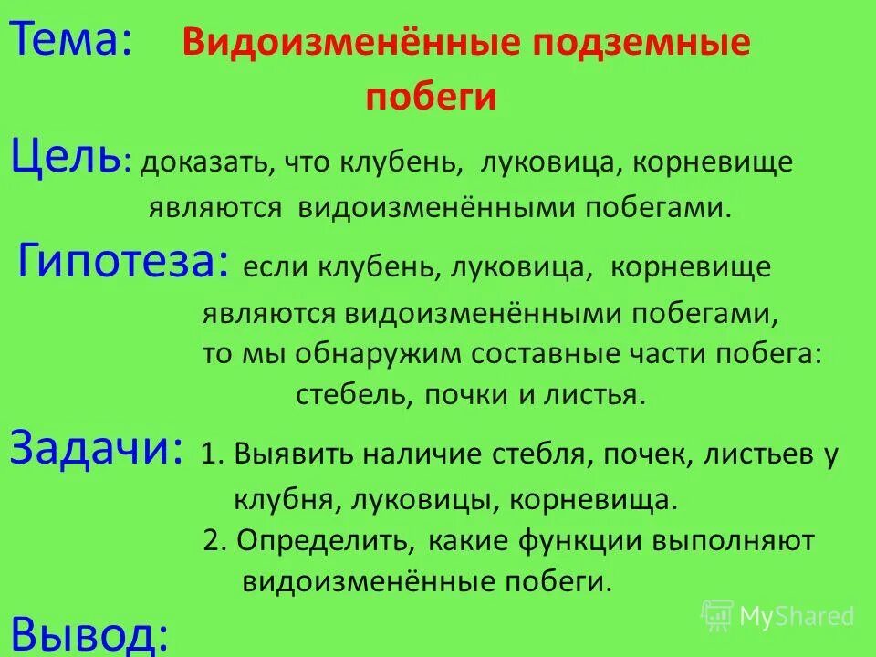 Видоизмененные подземные побеги клубень. Видоизменённый побег луковица. Видоизменённые побеги: корневище, клубень, луковица, их строение;. Как доказать что корневище и луковица. Видоизменения побегов клубнелуковица.