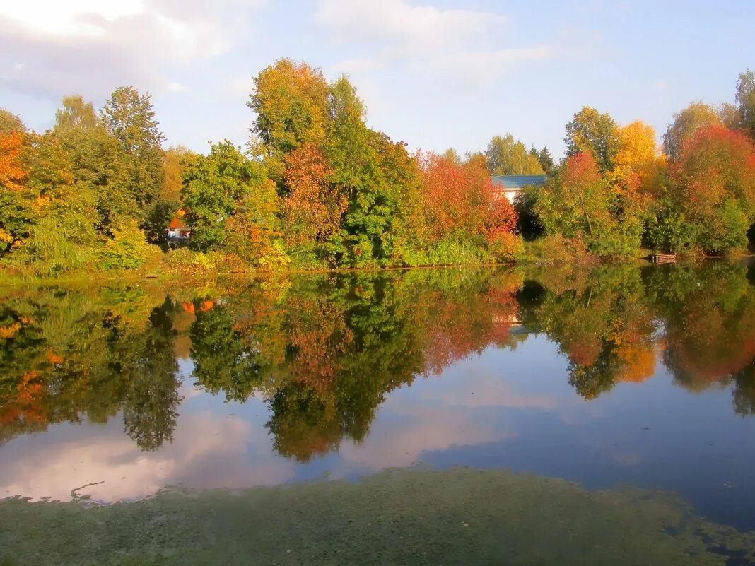 тютчева "есть в осени первоначальной короткая, но дивная пора". уж осенью первоначальной. иллюстрация к стихотворению тютчева есть в осени первоначальной. уж осенью первоначальной. пейзажи татарстана осень.