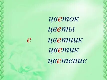 Расцвели цветочки слова