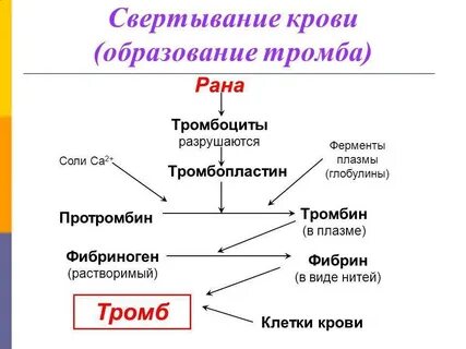 Димер и тромбоциты