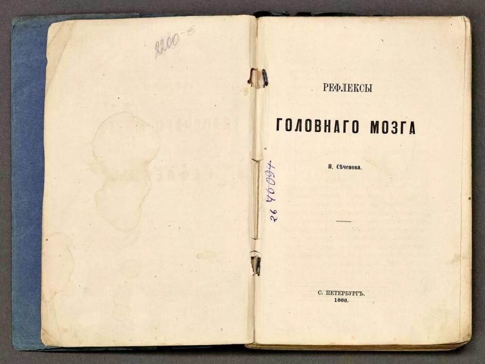 Рефлексы головного мозга Сеченов книга. Рефлексы головного мозга Сеченов 1863. Сеченов рефлексы мозга