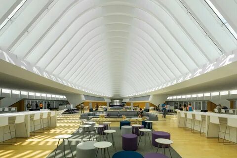 Polytechnic university