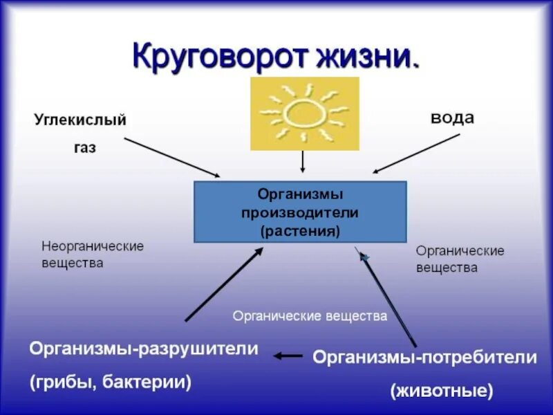 Великий круговорот жизни 3 класс модель. Великий круговорот веществ. Производители потребители Разрушители. Великий круговорот жизни 3 класс окружающий.