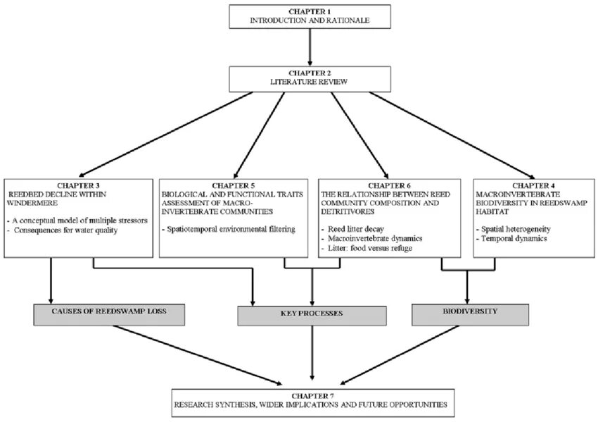 Thesis structure. Stasi structure. thesis contains.