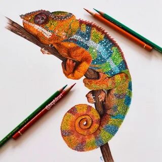 Хамелеон карандашом
