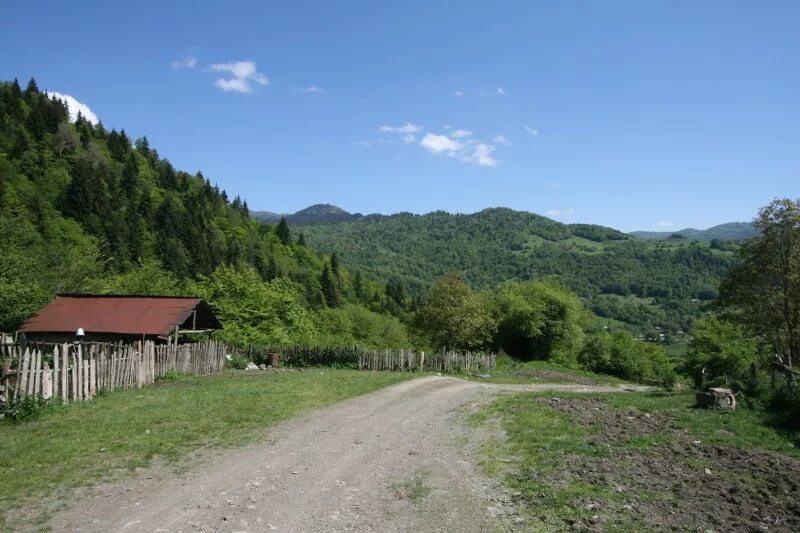 Погода в джаве южная осетия. Село Чеселт Южная Осетия. Южная Осетия Джавский район природа. Село Згубир Южная Осетия. Поселок джава Южная Осетия.