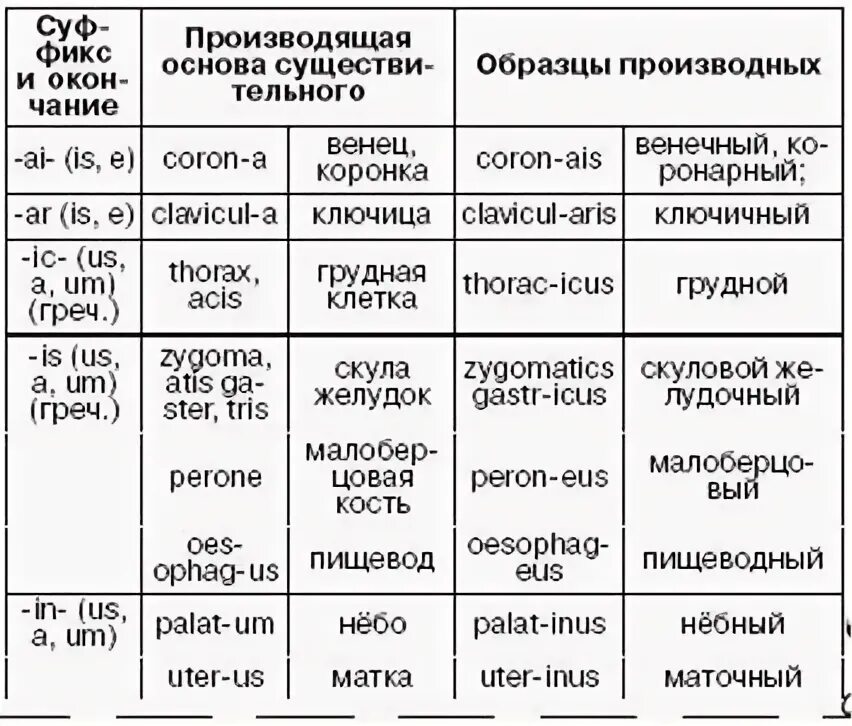 Хроническое заболевание латынь. Латинский язык шпаргалки. Латинский таблицы для медиков. Латинский для медиков начинающих. Шпаргалки латинский язык для медиков.