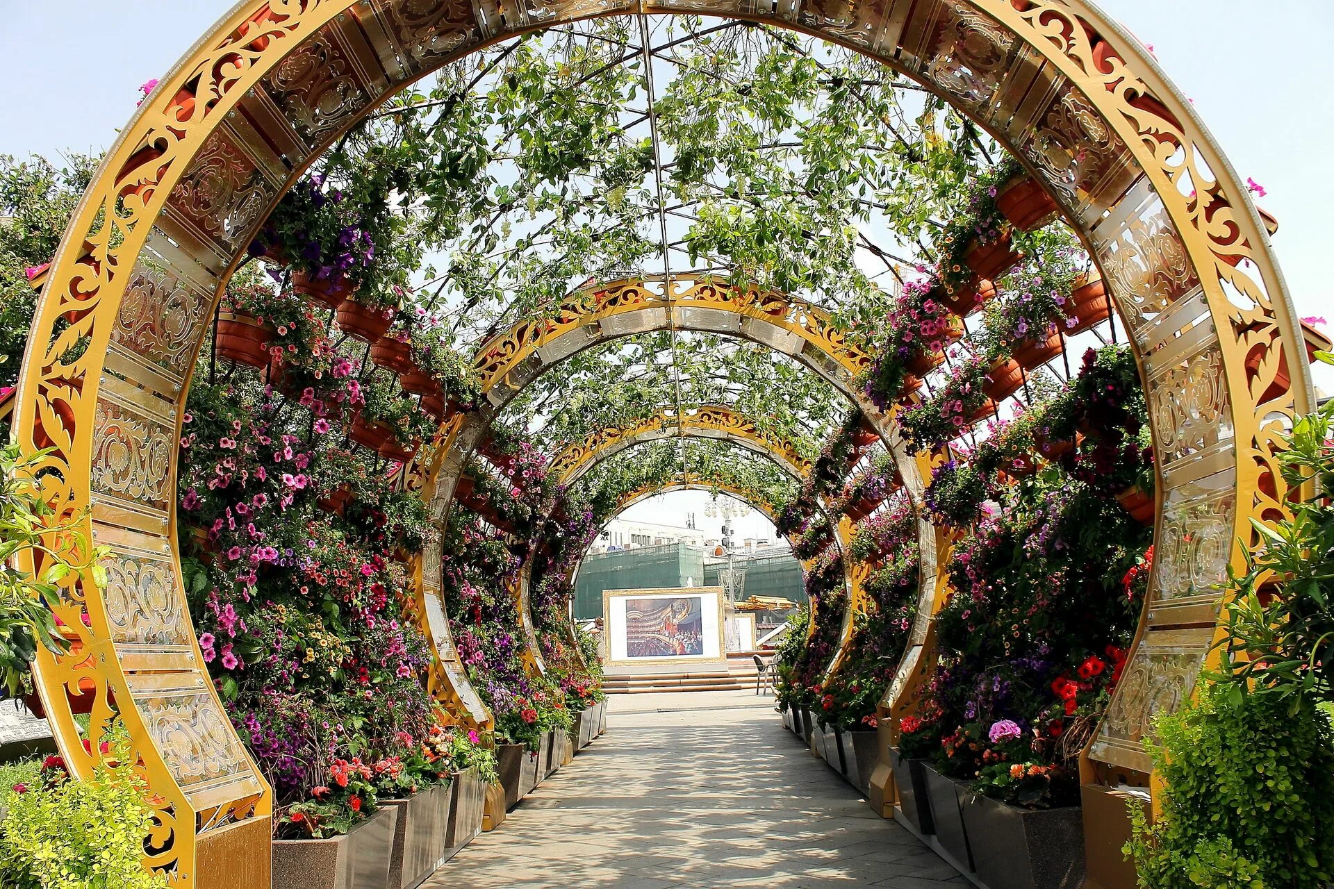 арка зон. пергола берсо. декоративная перегородка из гипсокартона. арка зон. арка зон.