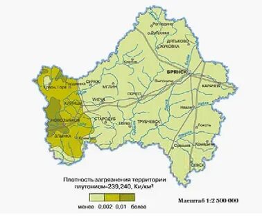 Брянск тульская область