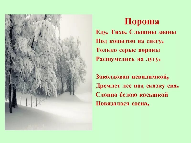 Стихотворение Есенина пороша. Есенин пороша стих. Стихотворение пороша Есенин. Кто написал заколдован