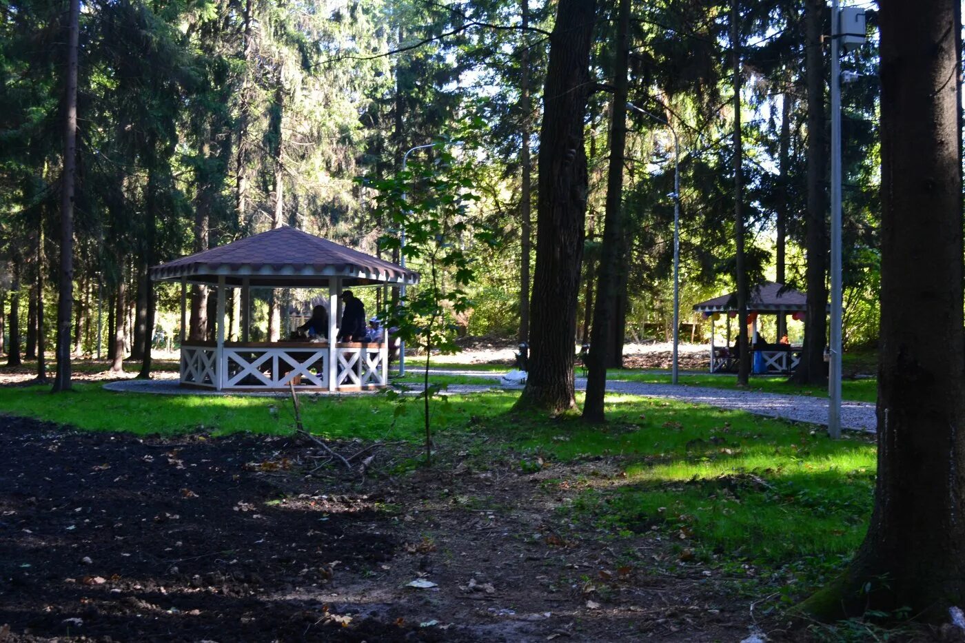 Селятино 2022. Парк мечта селятино. Парк в селятино московская область. Парк мечта селятино. Парк в селятино московская область.