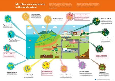 Food environment