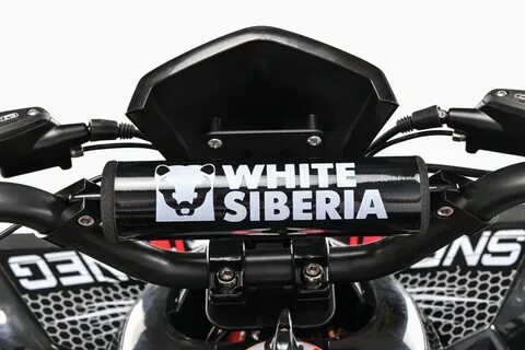 White siberia sneg