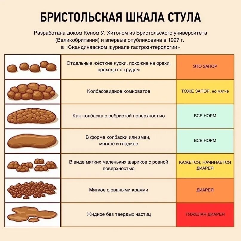 Шкала кала по бристольской шкале. Шкала формы кала. Бристольской шкале формы кала. Бристольская шкала формы стула. Формы кала у взрослого человека.