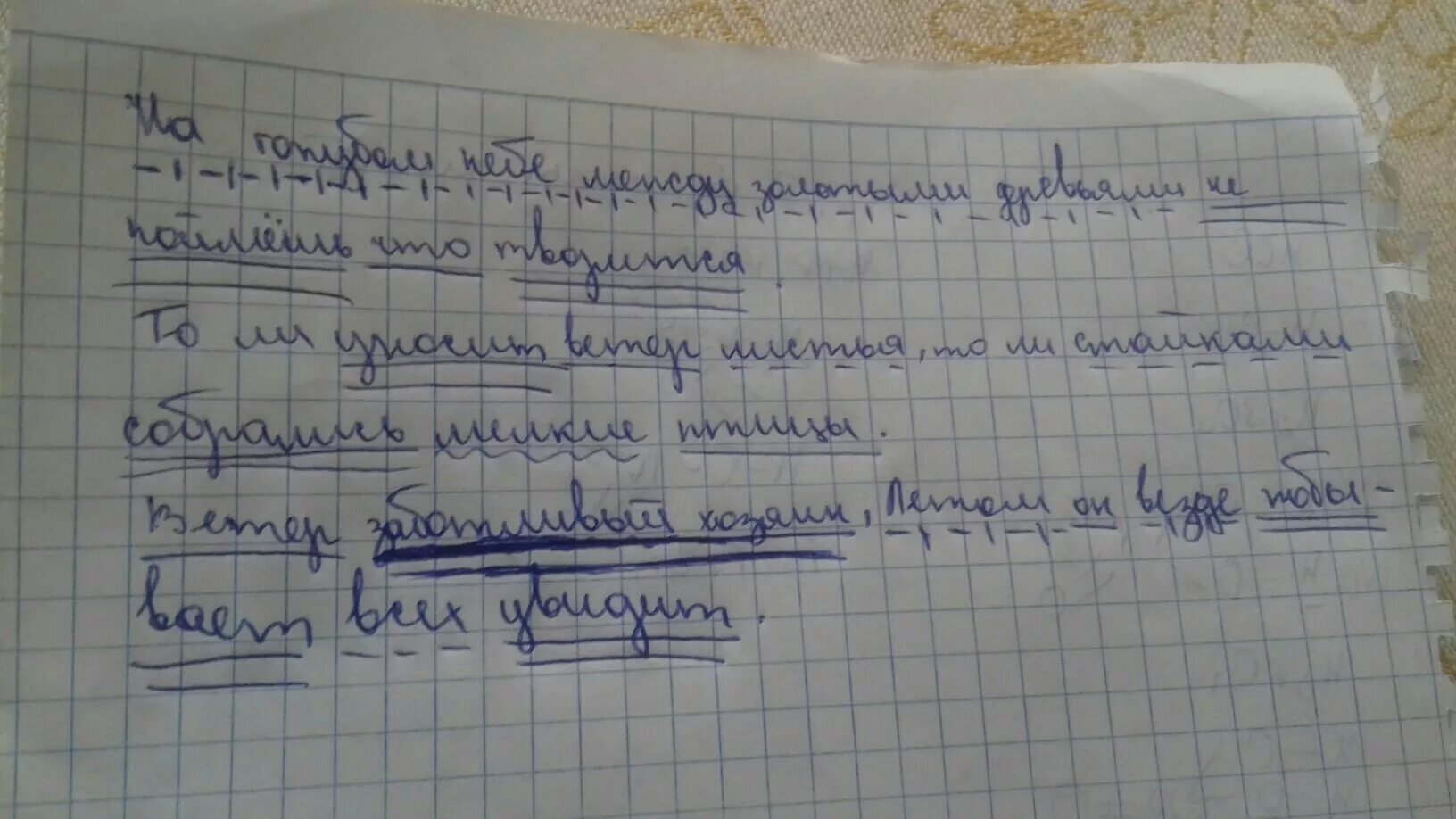 Синтаксический разбор предложения нежно голубые незабудки люди. Синтаксический разбор предложения. Синтаксический разбор небу. Синтаксический разбор предложения к небу. Синтаксический анализ предложения.