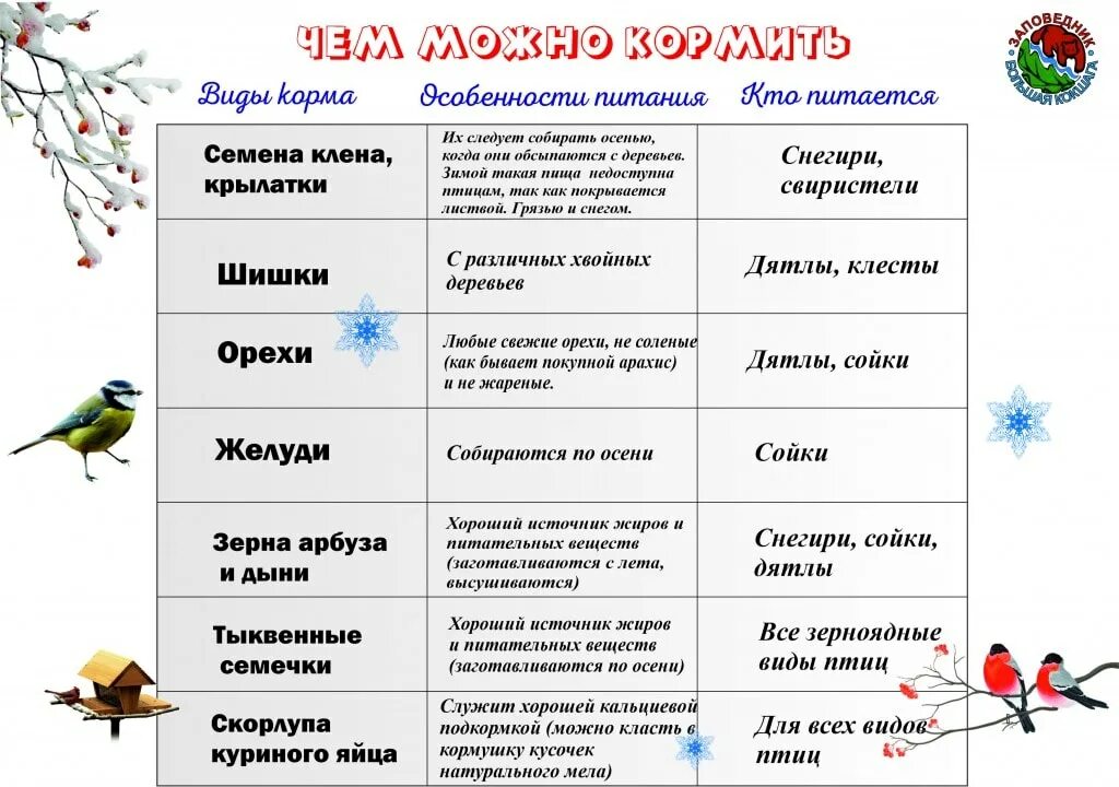 Тематическое планирование день птиц. Акция день зимующих птиц. Кормление зимующих птиц. Акция день зимующих птиц в детском саду. Листовка зимующие птицы.