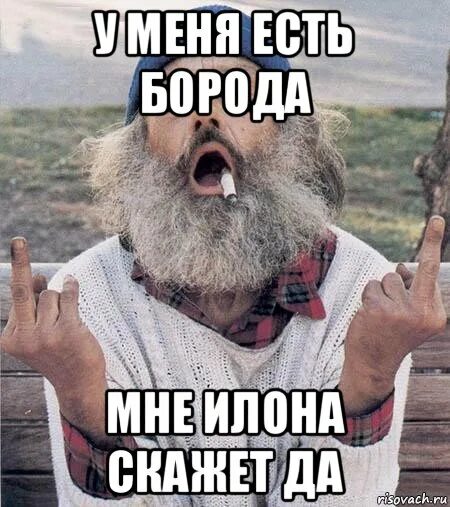 Согревает в холода борода. Борода мем. Цитаты про бороду. Борода помогает в холода борода. Согревает в холода борода.