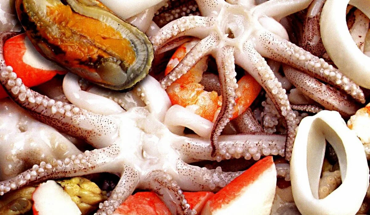 Пресервы кальмар мидии креветки. Осьминоги молодые. Осьминог еда. Живые морепродукты. Ассорти кальмар мидии.