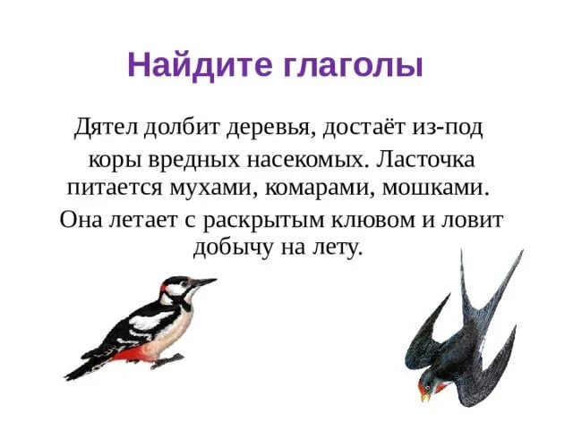 Как долго стучал. Предложение про дятла. Дятел достает из под коры вредных. Дятел долбит деревья достает из под коры вредных насекомых. Клювы птиц дятел.