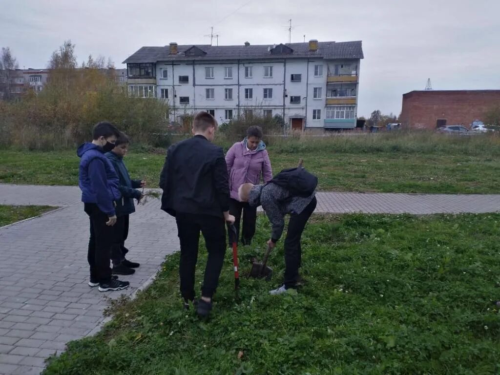 Работа вологда аллеях. Аллея славы вологда. зеленые насаждения вологда. новая аллея вологды.
