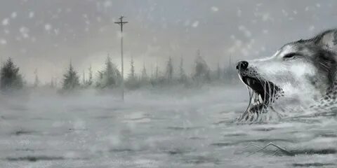 Волки метели