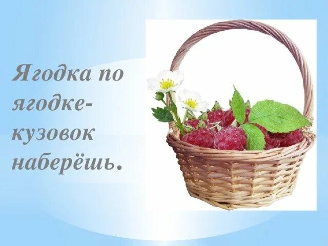 Собирай по ягодке наберешь кузовок как объяснить. Собирай поо ягодке наберешь кузов. Собери по ягодке наберешь кузовок. Собирай по ягодке наберешь кузовок иллюстрация. Рисунок к рассказу собирай по ягодке наберешь кузовок.