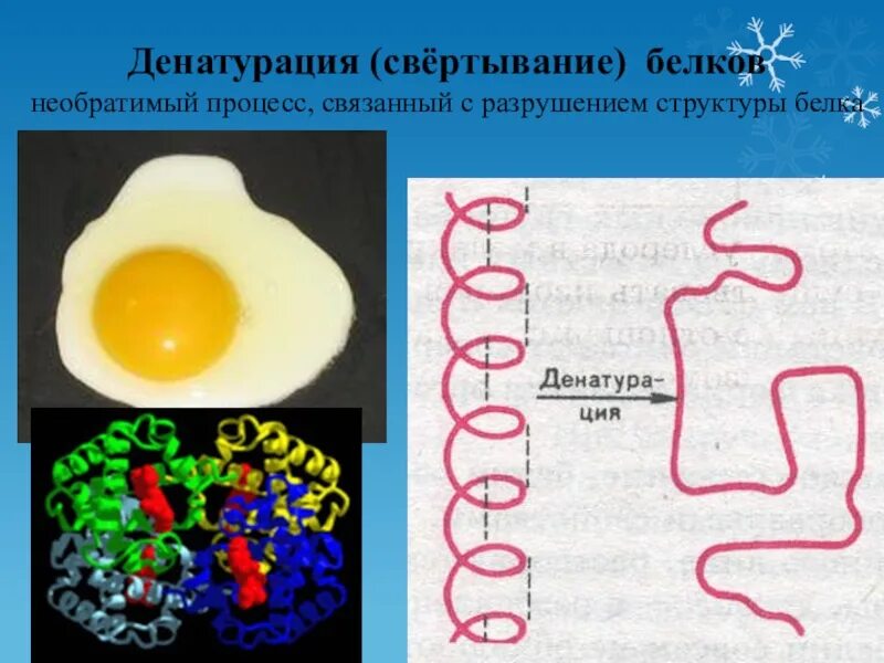 Процессы денатурации белков. Денатурация белков схема. Денатурация белка разрушение структуры. Белки структура денатурация. Процесс денатурации белков.