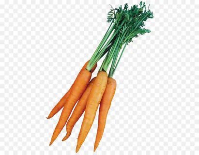 Carrot vegetable