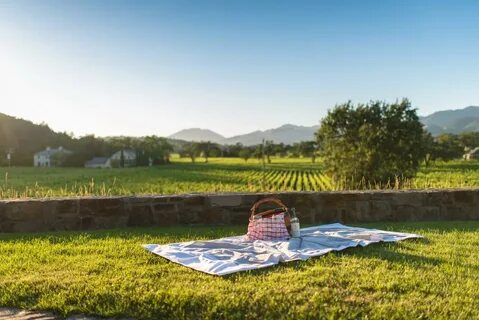 Picnic перевод