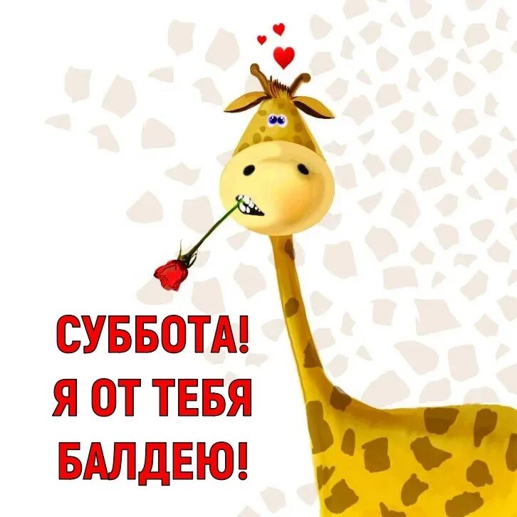 Доброе утро суббота прикольные позитивные. Открытки с субботой прикольные. открытки с добрым утром прикольные. доброе утро субботы прикольные. пожелания на субботу.