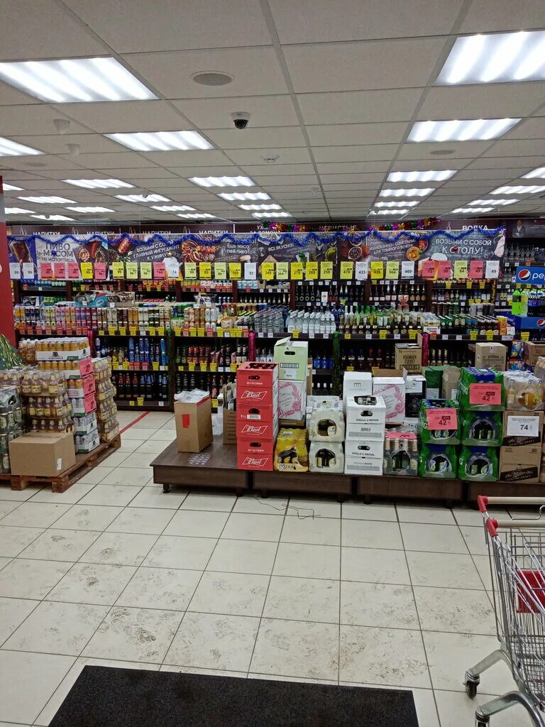 бристоль тверь. красраб 65б бристоль. 1с бристоль. бристоль на щорса красноярск. , 145.