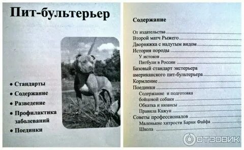 Поединок содержание