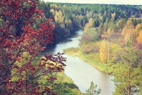 Нижне уральская область