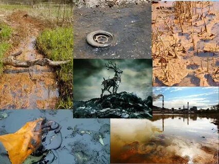 Serious environmental problems