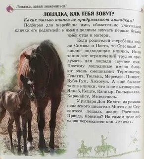Клички для лошадей жеребцов красивые