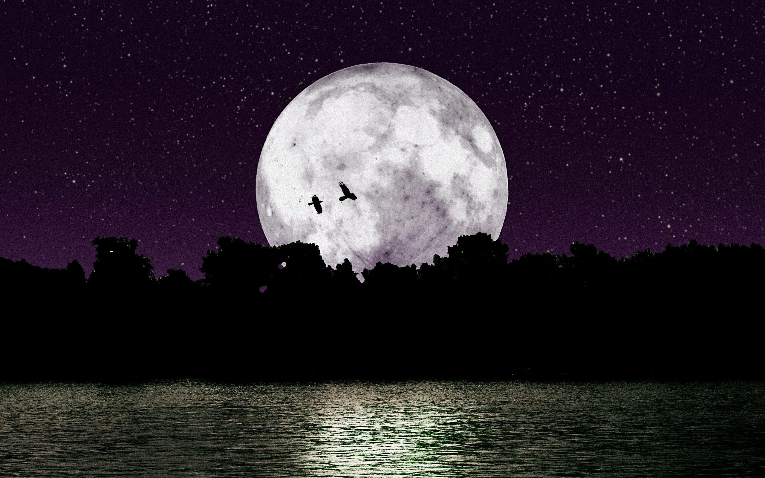 Огромная Луна. Красивая Луна. Яркая Луна. Лунная ночь. Чудесные лунные мартовские ночи ответы