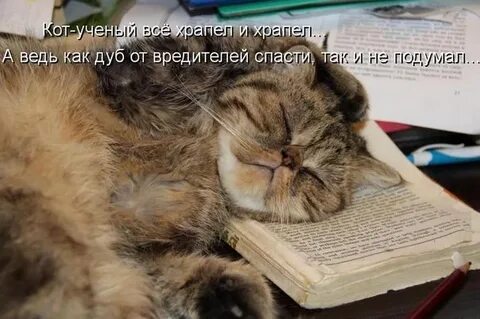 Ну просто спи