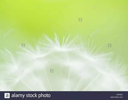 Green soft