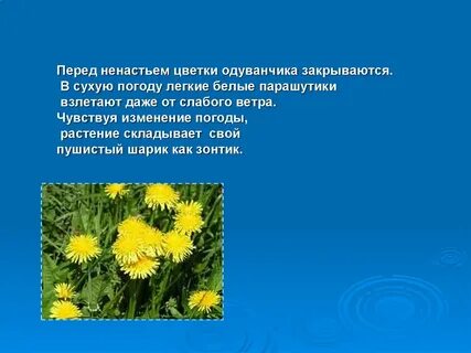 Днем в сухую погоду