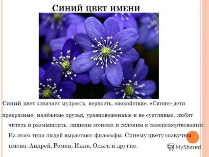 Синий цвет означает значение