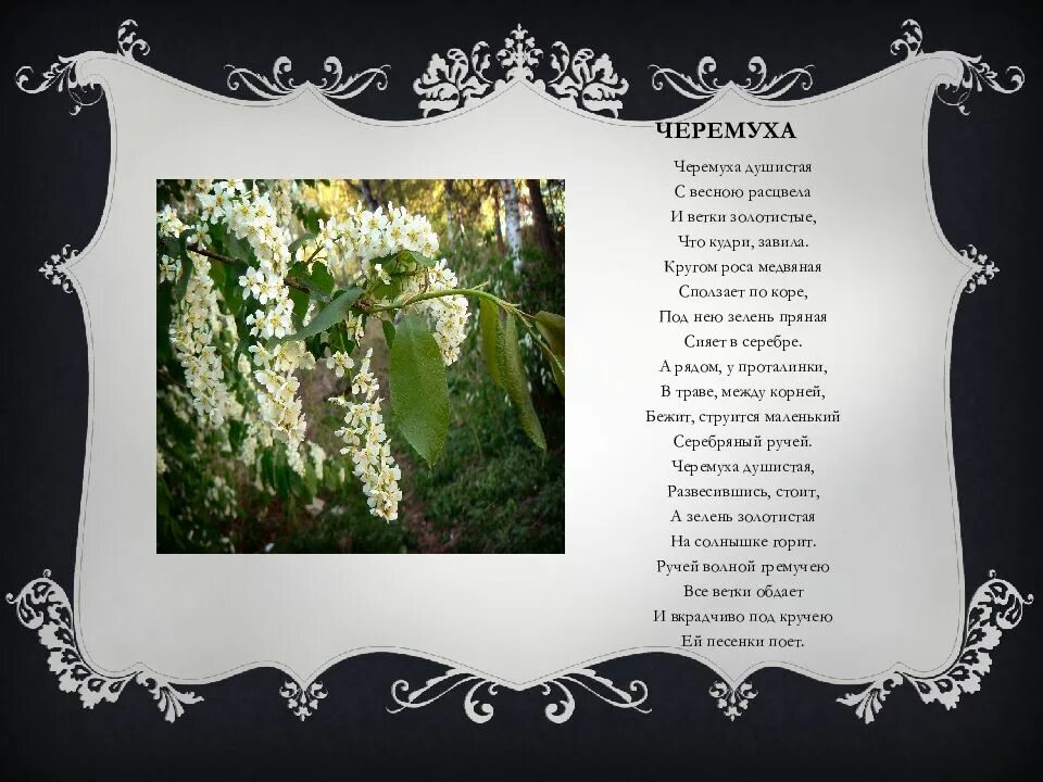 Я не поверила в примету давнюю