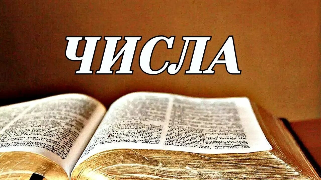 Читаем библию числа. Библия второзаконие. Читаем библию числа. Читаем библию числа. Книга чисел библия.