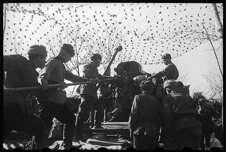 Средневековое поле битвы после боя. Самое страшное сражение. Огромный монстр. Вархаммер фэнтези крестовый поход. Интересные факты о бразинском сражении 1812года.