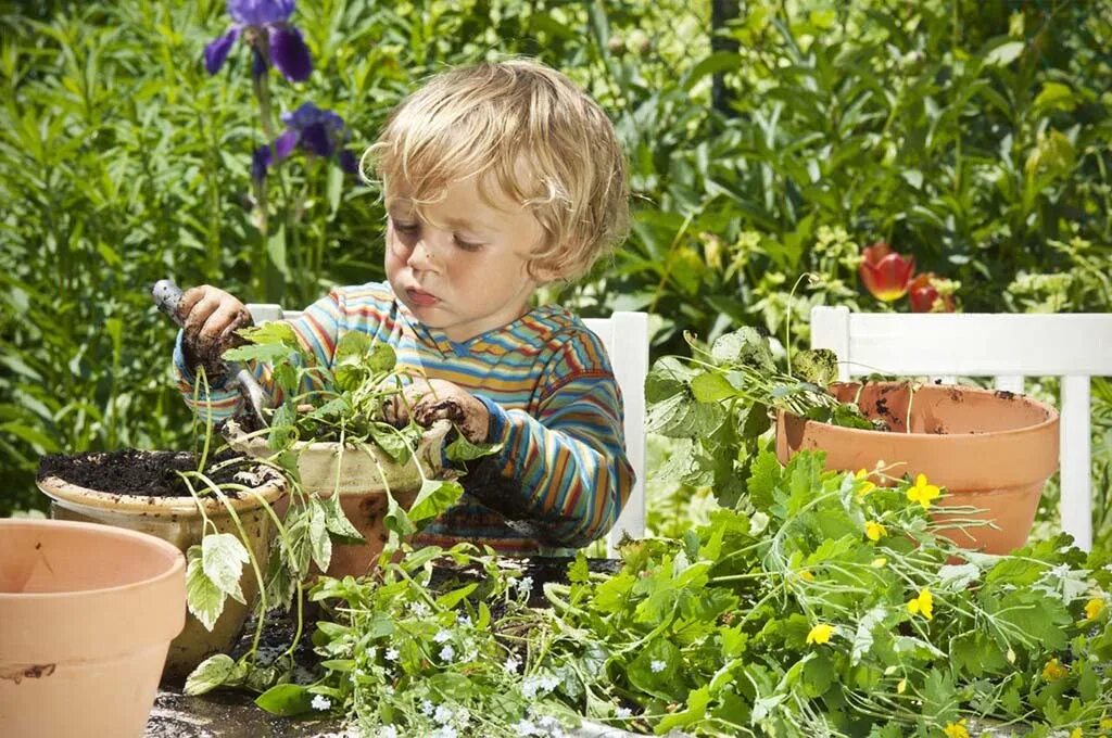 Огород для детей. Растения сада для детей. Огород с грядками для детей. Сажать цветы. Дети вырастили цветы