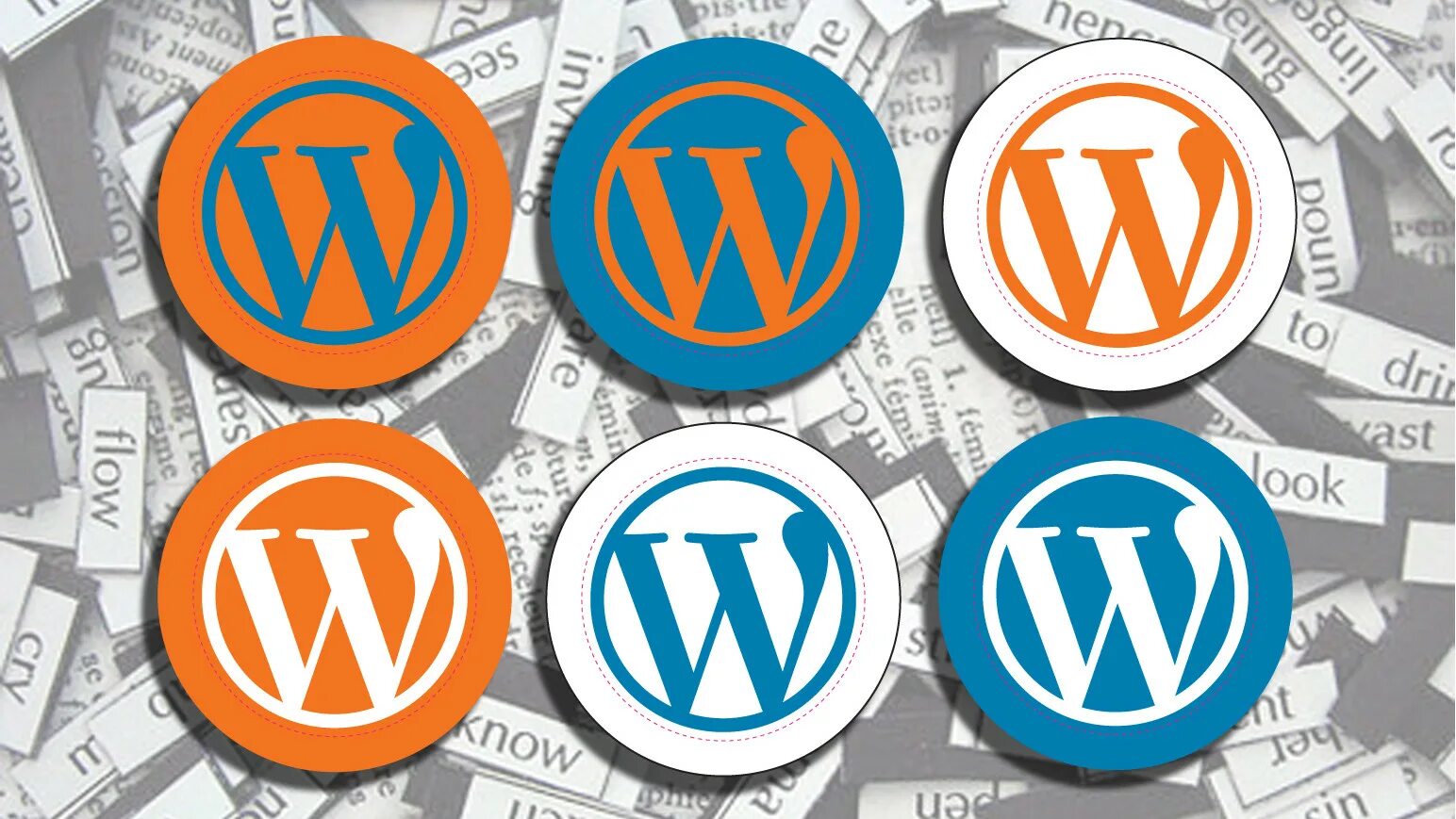 Wordpress 6.5. Вордпресс. WORDPRESS картинки. Разработка сайтов на WORDPRESS. Сайты на WORDPRESS.