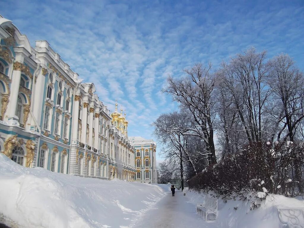 Улицы города пушкин. Пушкин Ленинградская. Пушкин ЛЕНОБЛАСТЬ. Город Пушкин Ленинградская область улицы. Пушкин ЛО.