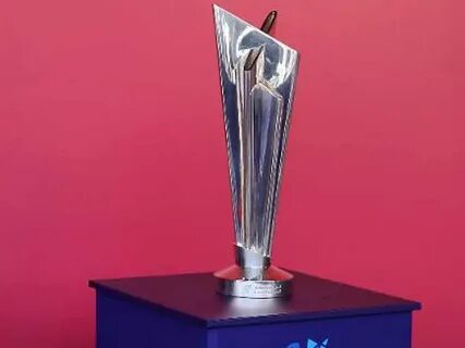 T20 world cup